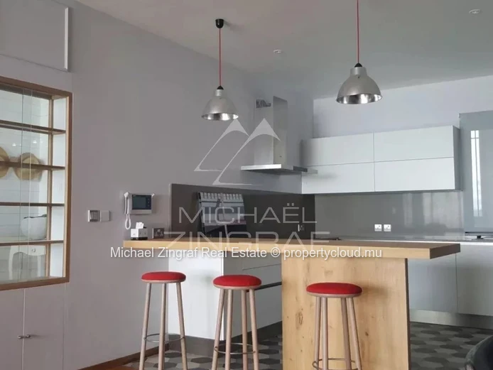 Penthouse pieds dans l'eau Roches Noires