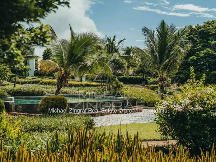 Investissez dans le Lifestyle Exclusif d’Azuri