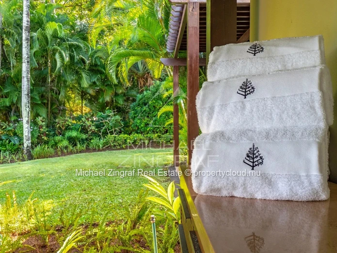 Villa Four Seasons à Anahita : L’Excellence Hôtelière au Service d’un Investissement d’Exception